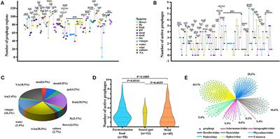 Comprehensive deciphering prophages in genus Acetobacter on the ecology, genomic features, toxin–antitoxin system, and linkage with CRISPR-Cas system